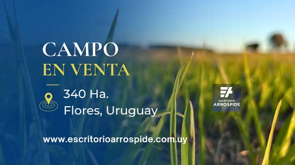 340  hectáreas. Agrícola Ganadero en Flores Uruguay